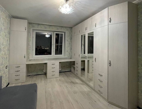 Рабочая зона модель r290 купить в Дмитрове